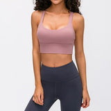 Ivy Sports Bra