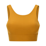 Alice Sports Bra